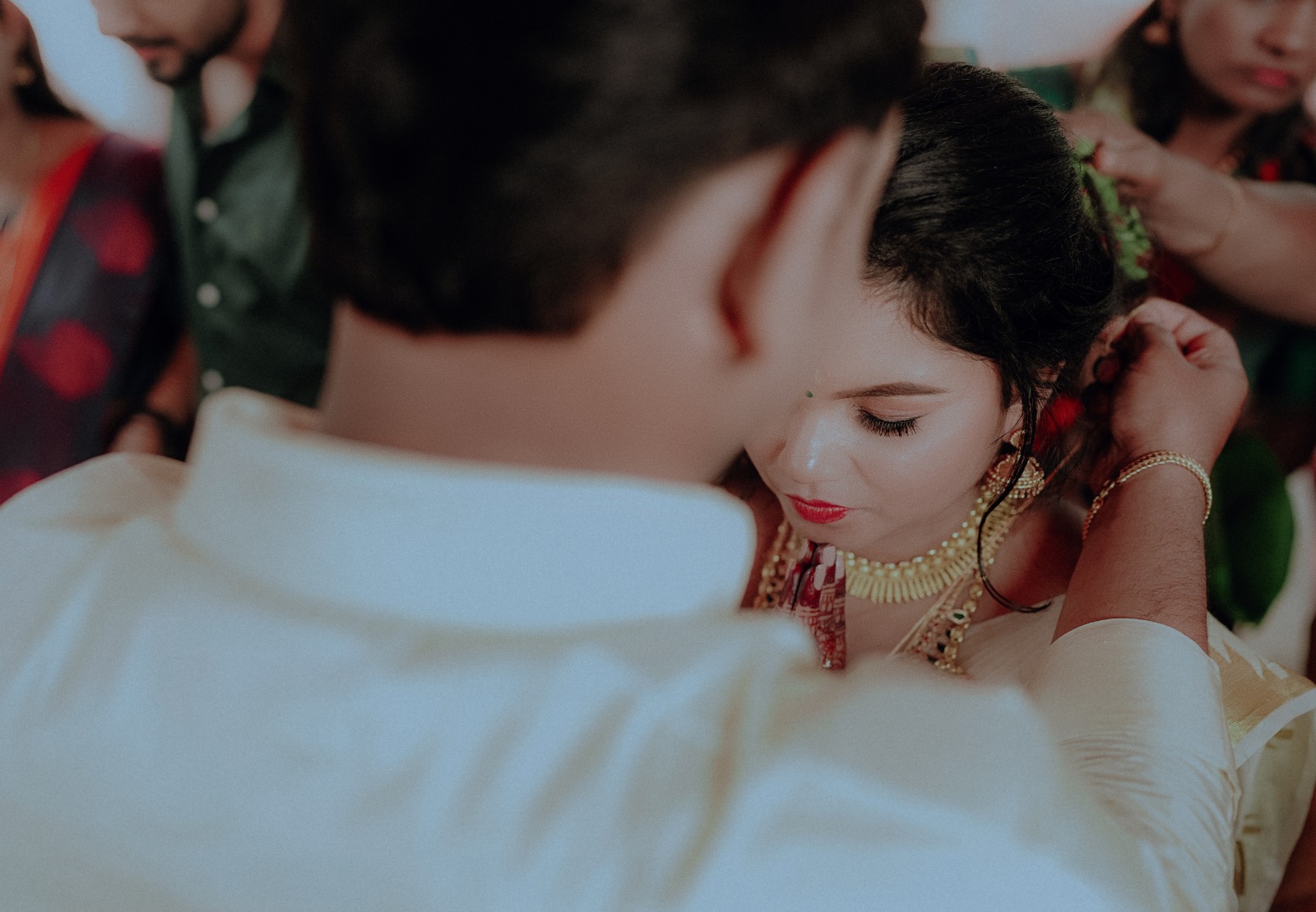 a forest after an apocalypse